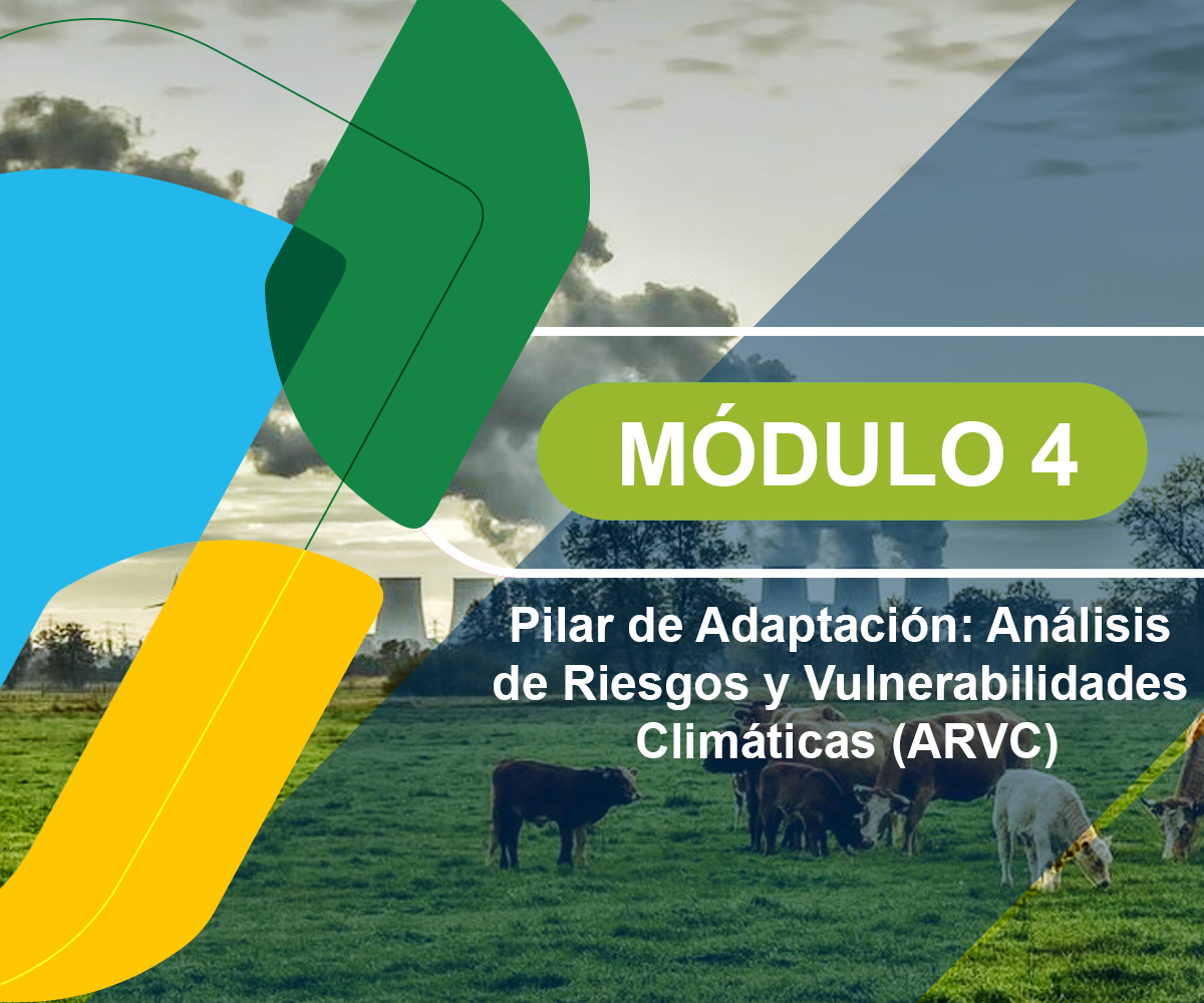Módulo 4 – Pilar adaptación