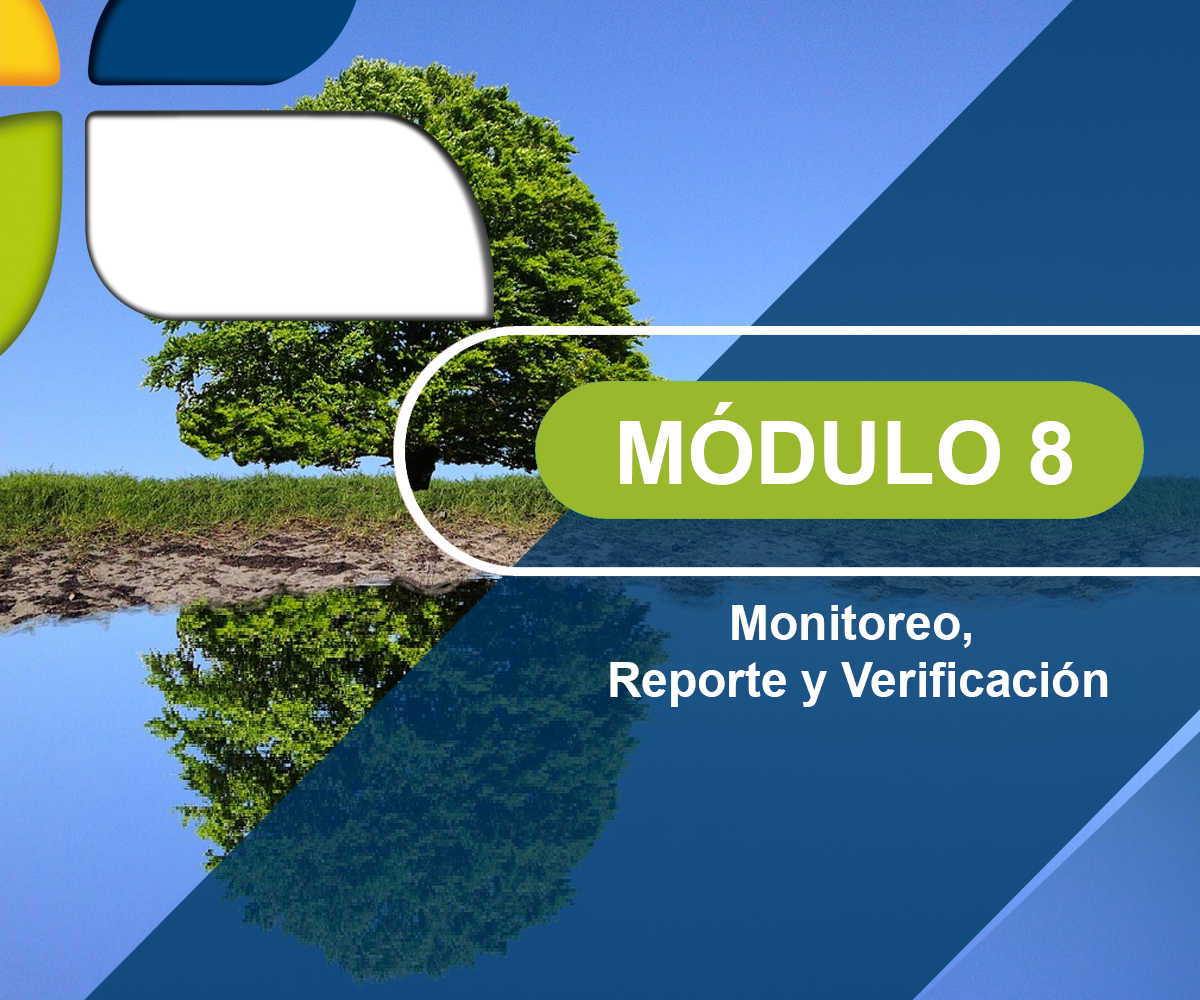 Módulo 8 – Monitoreo, reporte y verificación